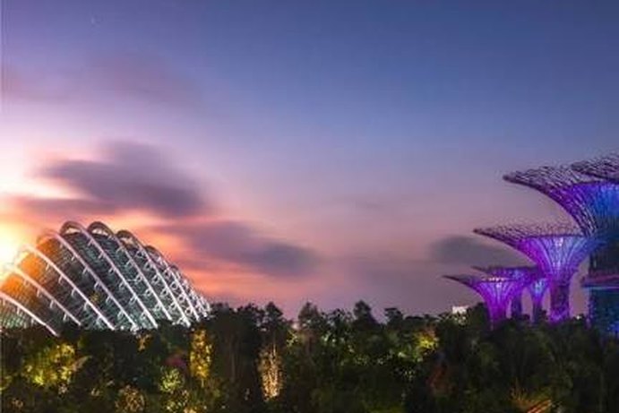 The Supertree Grove and conservatories of a Singapore garden at dusk