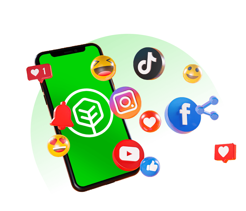 social media management